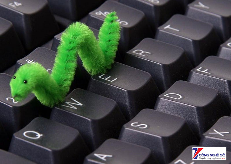 25 loại “sâu” máy tính nổi tiếng nhất lịch sử